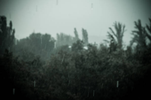 istock Landscape with trees in heavy summer rainstorm 1057607974
