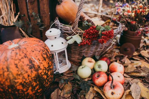 istock Autumn food decorations for thanksgiving 1057609730