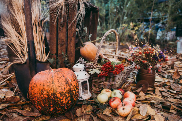 istock Autumn food decorations for thanksgiving 1057609768
