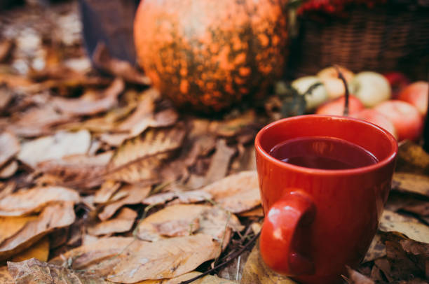 istock A cup of tea in autumn 1057609788