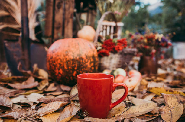 istock A cup of tea in autumn 1057609800