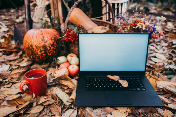 uso de tecnologías para las compras de otoño - abundance apple red yellow fotografías e imágenes de stock