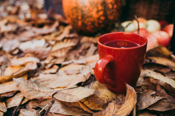 istock A cup of tea in autumn 1057609854