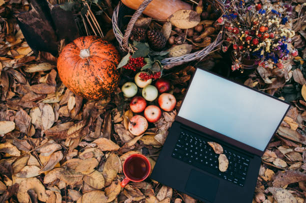 uso de tecnologías para las compras de otoño - abundance apple red yellow fotografías e imágenes de stock