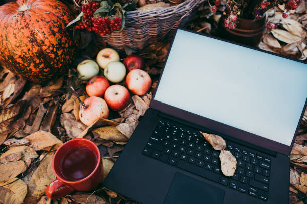 uso de tecnologías para las compras de otoño - abundance apple red yellow fotografías e imágenes de stock