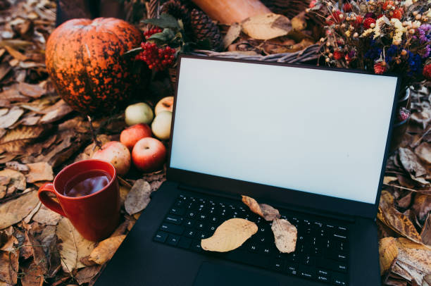 uso de tecnologías para las compras de otoño - abundance apple red yellow fotografías e imágenes de stock