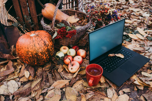 uso de tecnologías para las compras de otoño - abundance apple red yellow fotografías e imágenes de stock