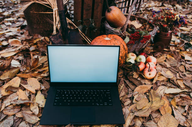 uso de tecnologías para las compras de otoño - abundance apple red yellow fotografías e imágenes de stock