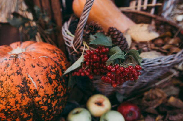 istock Autumn food decorations for thanksgiving 1057609954