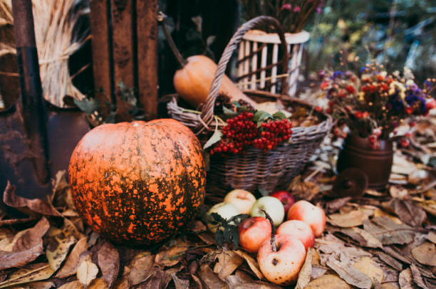 istock Autumn food decorations for thanksgiving 1057609994