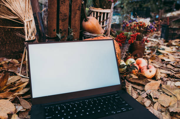 uso de tecnologías para las compras de otoño - abundance apple red yellow fotografías e imágenes de stock