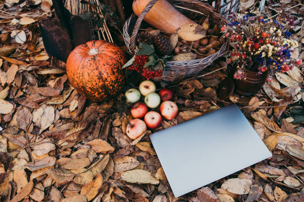 uso de tecnologías para las compras de otoño - abundance apple red yellow fotografías e imágenes de stock