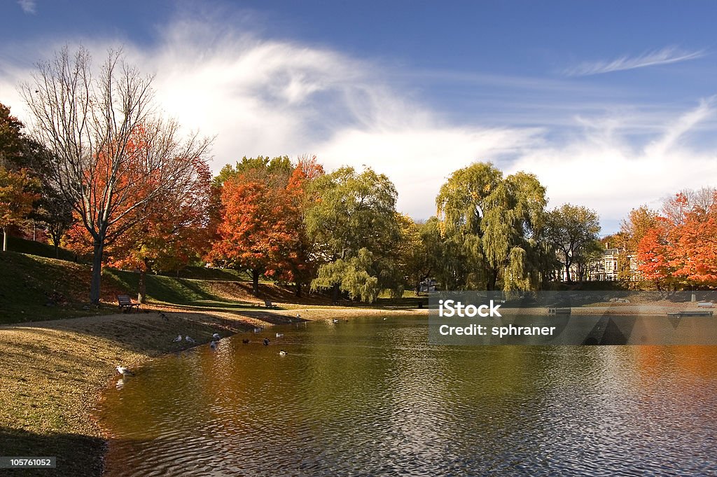 Frog Pond  Massachusetts Stock Photo