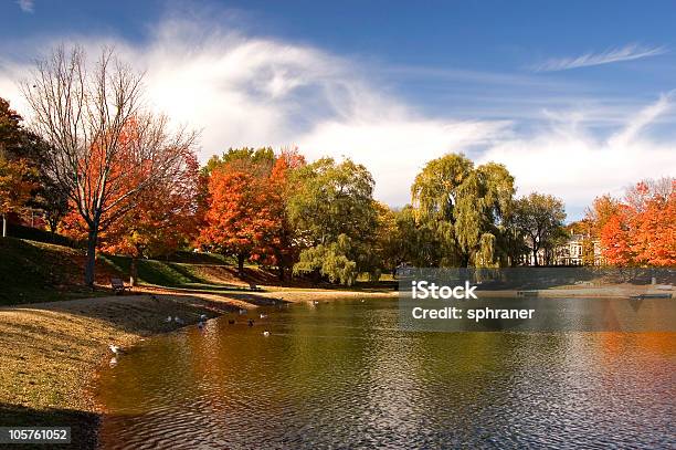 Frog Pond Stock Photo - Download Image Now - Massachusetts, Newburyport, Leaf