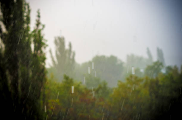 istock Landscape with trees in heavy summer rainstorm 1057613616