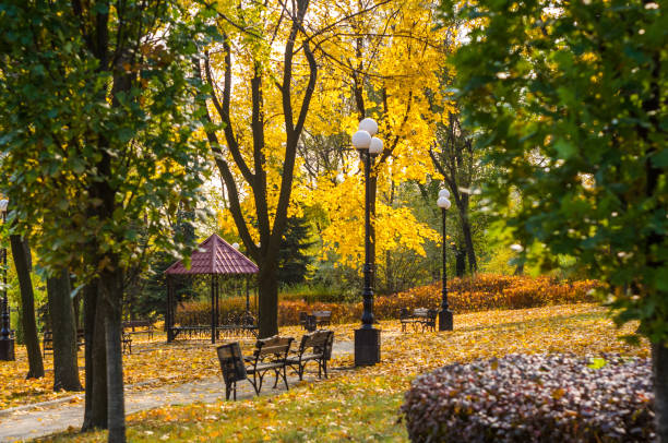 istock Urban Autumn landscape with trees in sunlight 1057617770