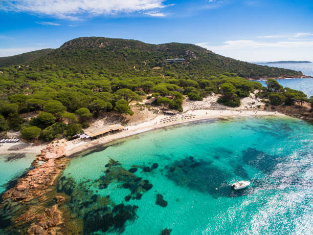 Aerial view of Palombaggia beach in Corsica Island in France Aerial view of Palombaggia beach in Corsica Island in France corsica photos stock pictures, royalty-free photos & images