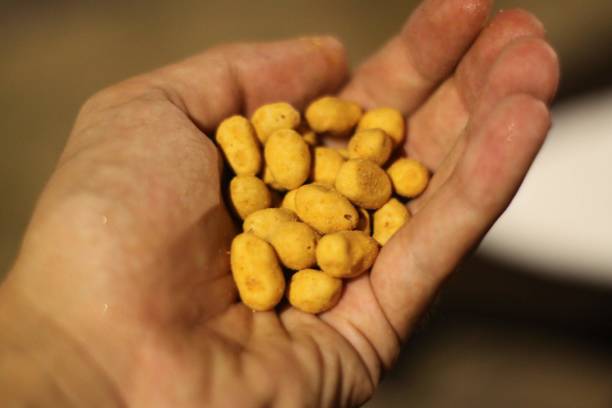 istock A hand full of peanuts 1057628150