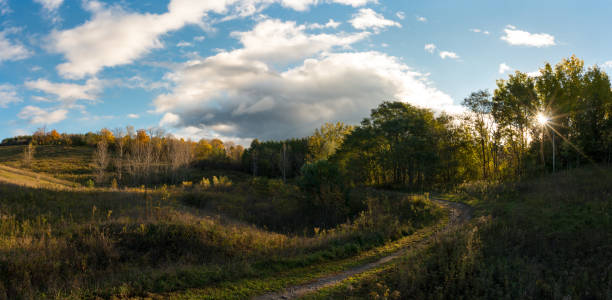 cantos de roble morrena en sunrise en ontario, canadá - moraine fotografías e imágenes de stock