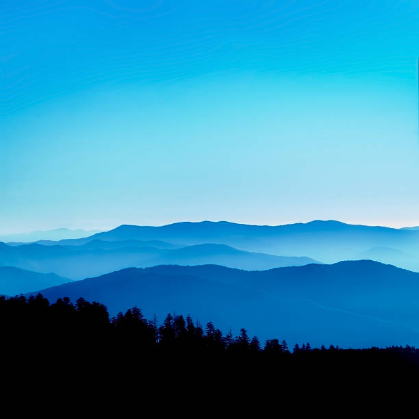 vista de blue ridge - blue ridge mountains mountain range north carolina tennessee fotografías e imágenes de stock