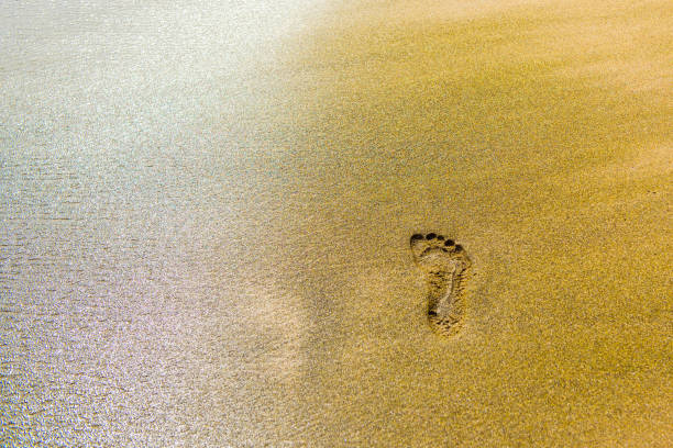 istock Footprint in the sand, Hawaii, USA. Copy space for text. 1057634828