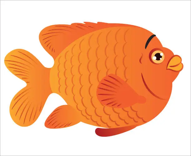 Vector illustration of Garibaldi Fish