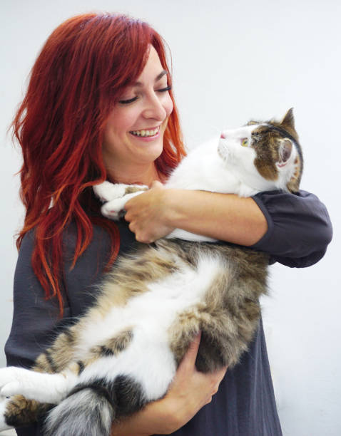 istock Red haired woman smiles while holding a big pedigree cat 1057635202