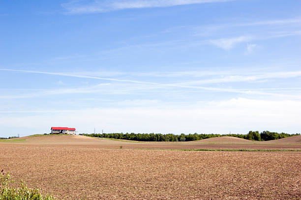 istock Agriculture farm 105764053