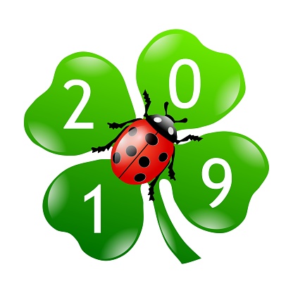 shamrock ladybug sylvester 2019 new year symbol isolated