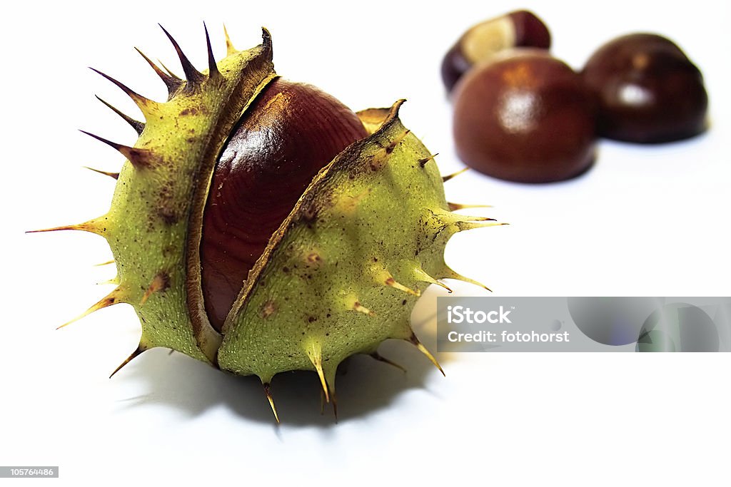 Chestnut  Chestnut - Food Stock Photo