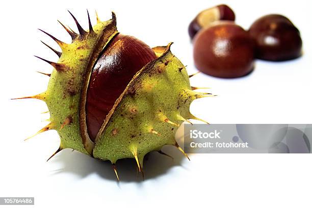 Chestnut Stock Photo - Download Image Now - Chestnut - Food, Cut Out, Nut - Food