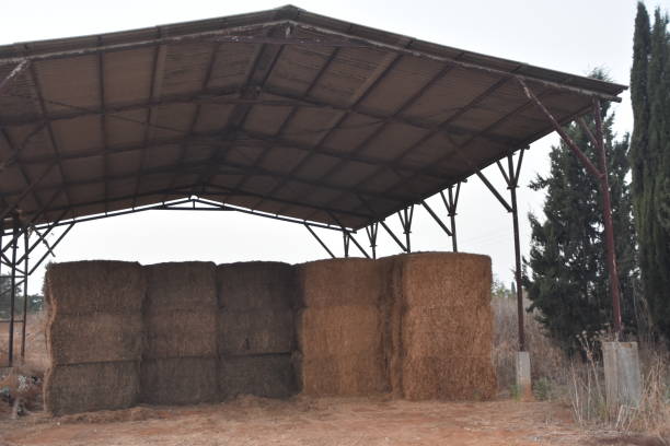 istock Heaps of hay in the barn 1057647158