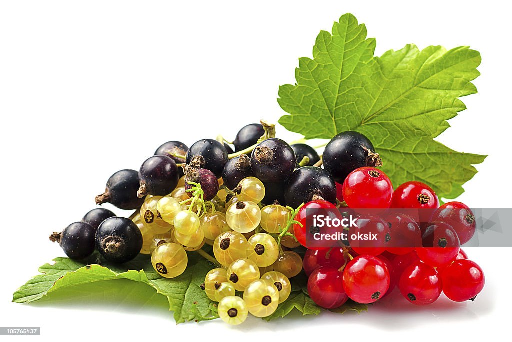 Currants isolated  Berry Fruit Stock Photo