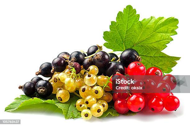 Currants Isolated Stock Photo - Download Image Now - Berry Fruit, Black Color, Bunch
