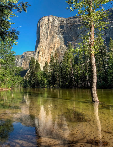 El Capitan - Yosemite National Park stock photo