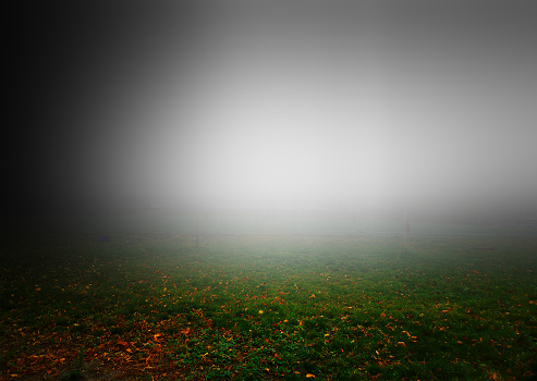 Fog on field dramatic landscape background
