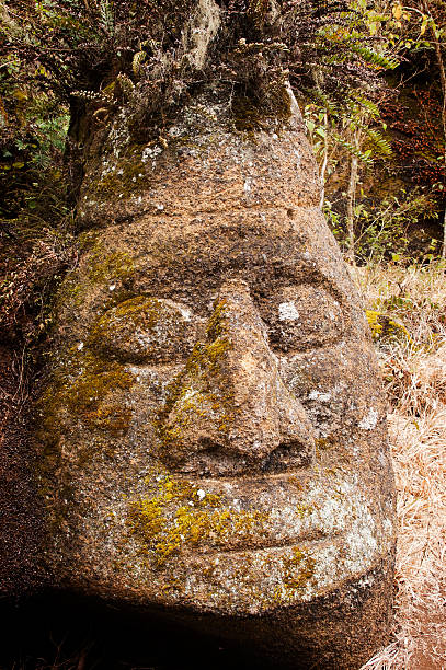 istock Floreana Island Carving 105766758