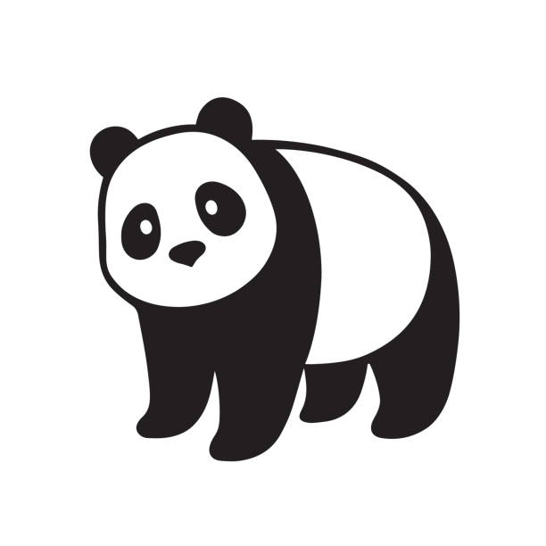 illustrazioni stock, clip art, cartoni animati e icone di tendenza di illustrazione panda gigante - panda mammifero con zampe