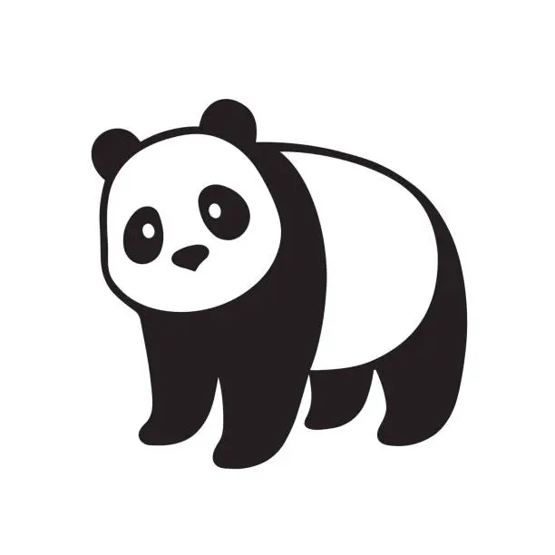 Vector illustration of Giant panda illustration