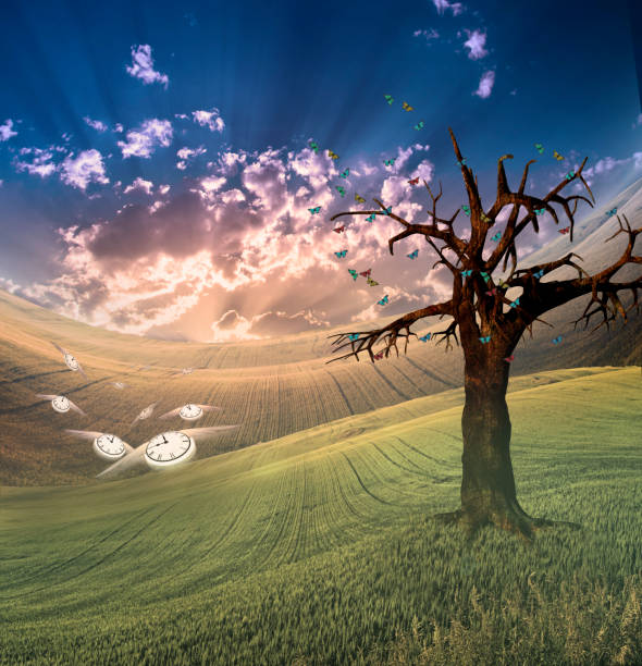 istock Time takes flight in peaceful landscape 1057675978