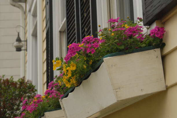 New England late Spring stock photo