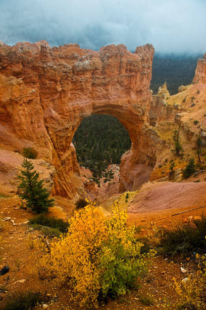 Rock Formation called Natural Bridge in Bryce Canyon National Park. This is a vertical presentation of the bridge in autumn.