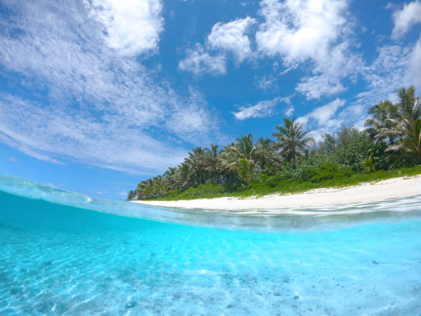 istock HALF UNDERWATER: Idyllic beach is being washed by the gentle glassy ocean waves. 1057685282