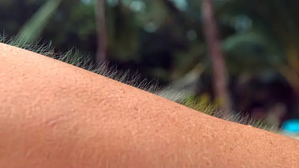CLOSE UP, MACRO, DOF: Unrecognizable young female trembles in the cold weather on tropical beach. Gentle summer breeze makes unknown Caucasian person get goosebumps. Scared woman's raised arm hair.