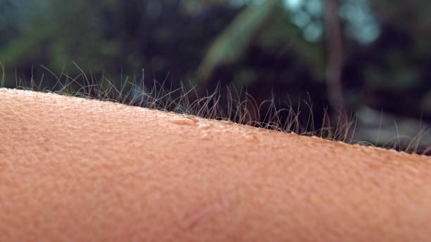 MACRO, DOF: Unknown person gets goosebumps during a cold tropical rainstorm. CLOSE UP, MACRO, DOF: Unknown Caucasian person gets goosebumps during a cold tropical rainstorm. Close up shot of arm hair fluttering in the breeze as unrecognizable girl can't escape the cold rain. extreme close up stock pictures, royalty-free photos & images