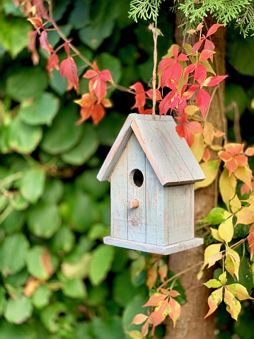 Bird house in the autumn garden