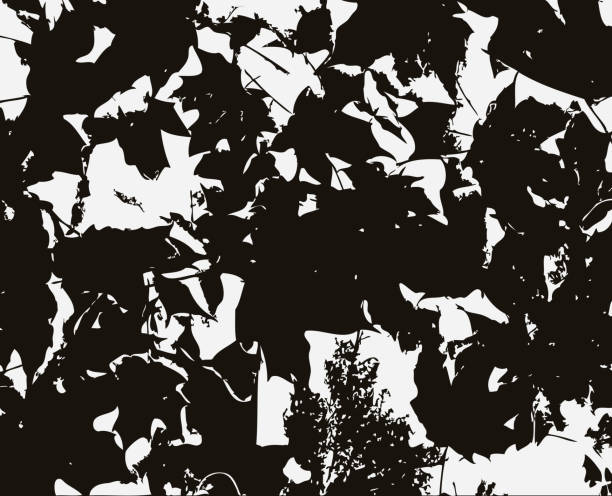 istock Black and white grunge, vector texture. Abstract background. Effect of grain and noise. Template for design, retro style. 1057690986