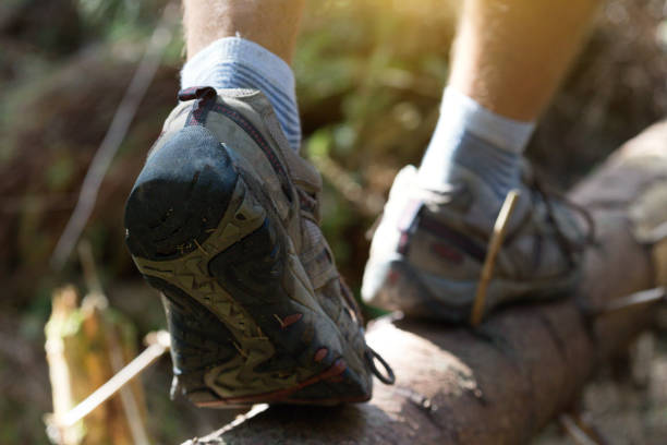 istock hiking boots close-up. boy tourist steps on a log