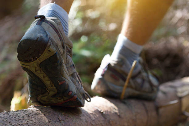 istock hiking boots close-up. boy tourist steps on a log