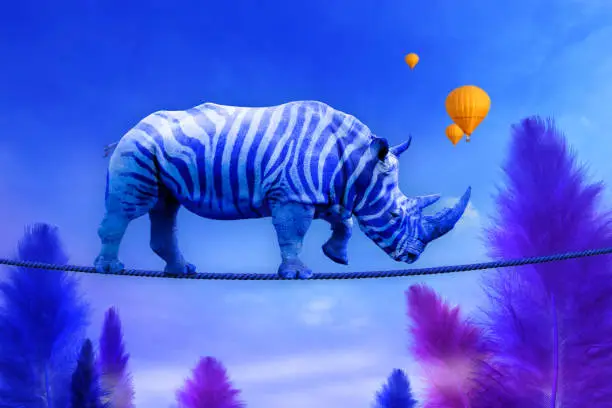Blue rhino with zebra lines walking on a rope over blue feather trees background